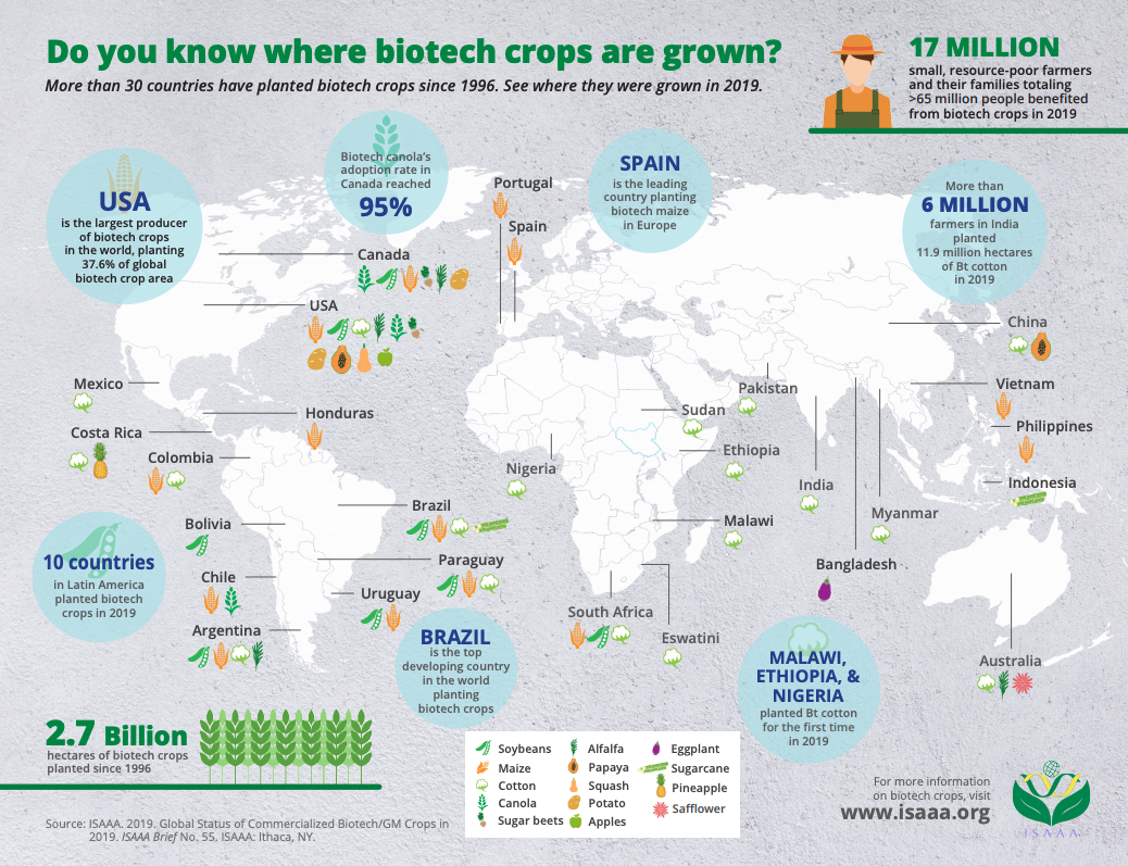 Where GMOs Are Grown Around the World GMO Statistics GMO Answers